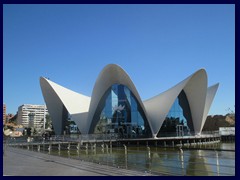 L'Oceanogràfic, Europe's largest oceanographic aquarium, built in the shape of water lilies. Designed by Félix Candela.